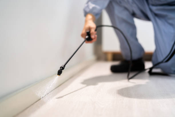 Licensed Pest Control service in San Pablo, CA - Show Me Pest Control